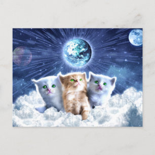 Cats in the cloud                                  postcard