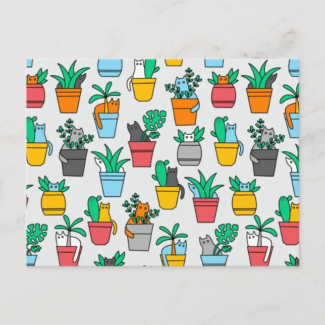 Cats in the flowerpots postcard (Front)