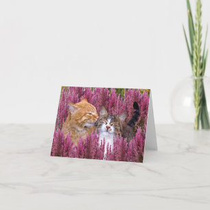 "Cats In The Heather" Note Card