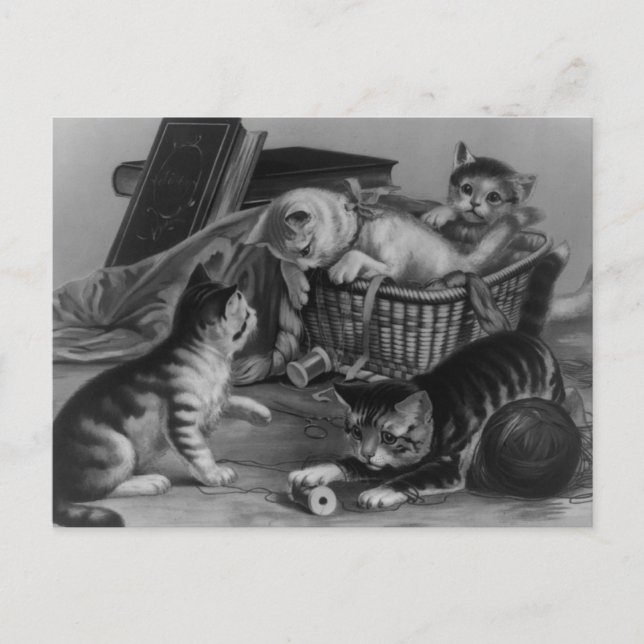 Cats in the Sewing Basket Postcard (Front)