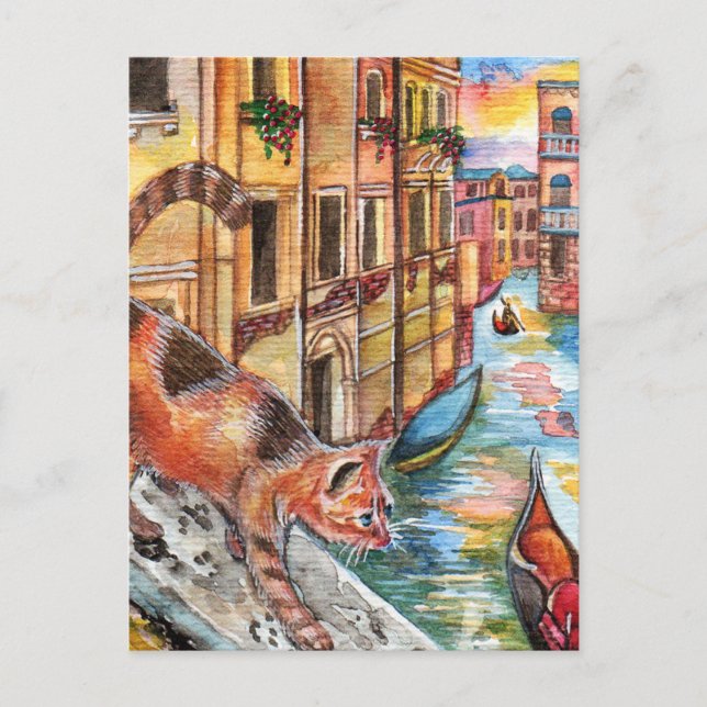 Cats In Venice Postcard (Front)