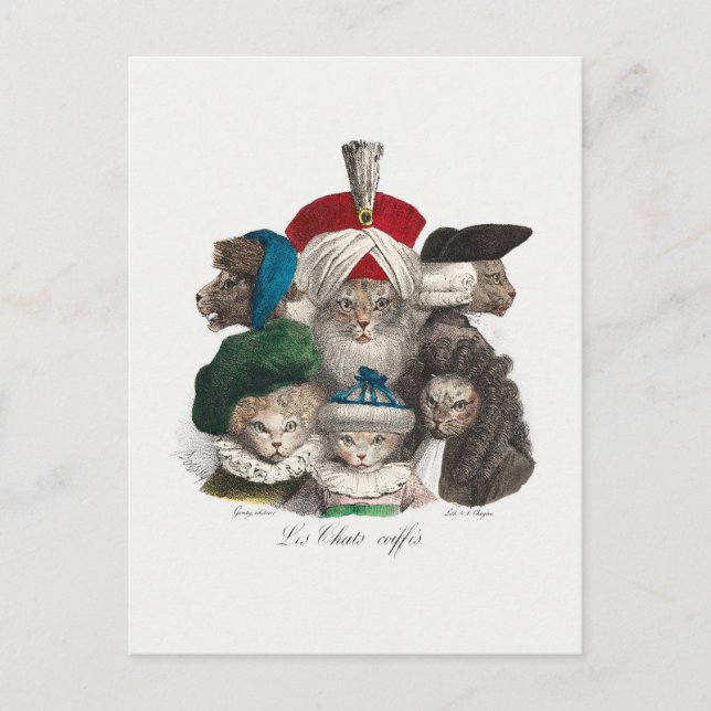 Cats in Wigs and Hats Silly Illustration Postcard (Front)