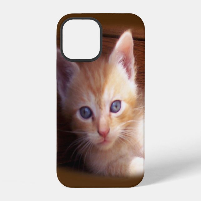Cats iPhone Case (Back)