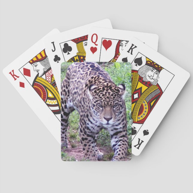 Cats Jaguar Safari Jungle Destiny Nature Peace Playing Cards (Back)
