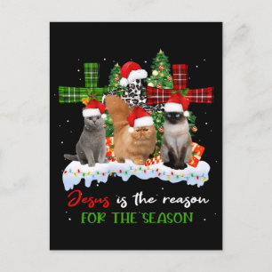 Cats Jesus Is Reason For The Season Christmas Ugly Postcard