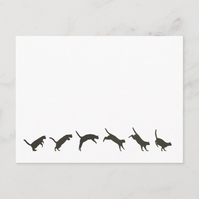 Cats Jumping Postcard (Front)