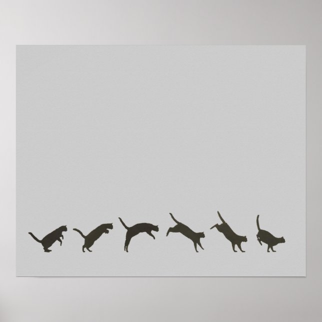 Cats Jumping Poster (Front)