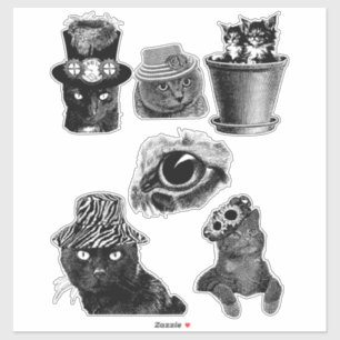 Cats Kittens Animals Art black and white drawings