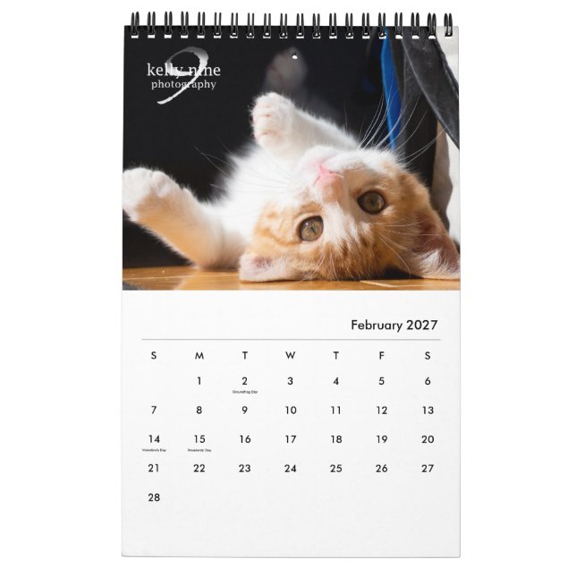 Cats & Kittens by Kelly Nine Photography Calendar (Feb 2027)