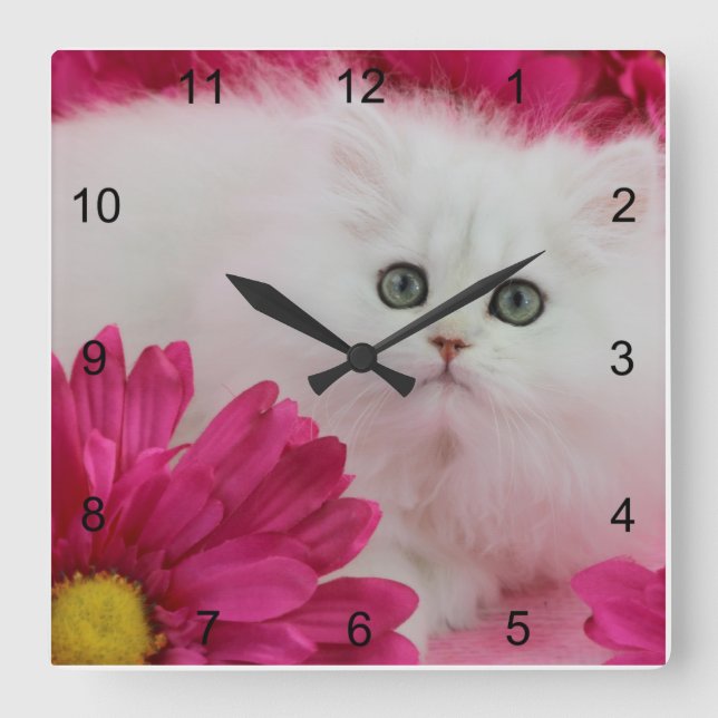 Cats, Kittens, Personalise, Hot Pink, Black, Swirl Square Wall Clock (Front)