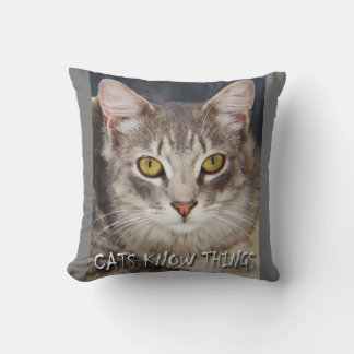 CATS KNOW THINGS  CUSHION