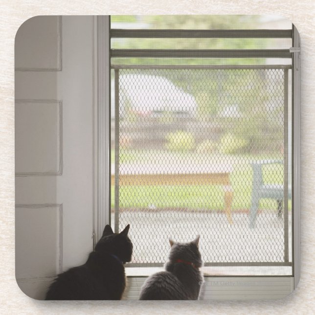 Cats looking out screen door coaster (Front)