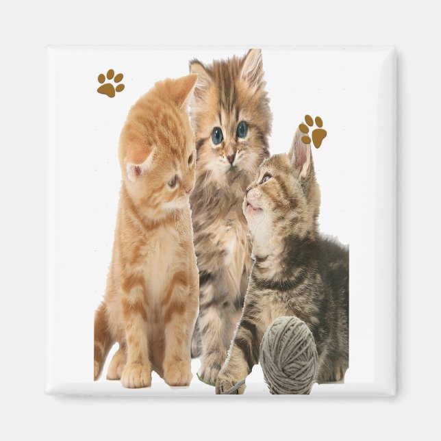 Cats Magnet (Front)