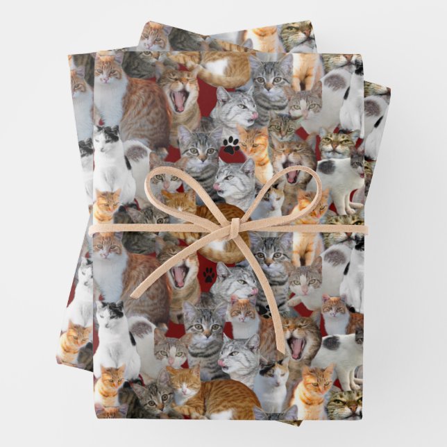 Cats meeting point - collage  wrapping paper sheet (In situ)