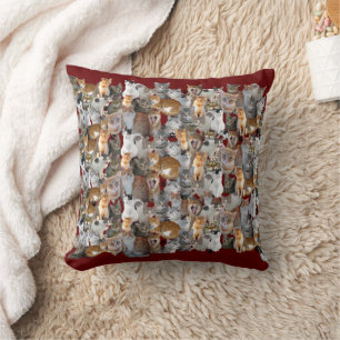 Cats meeting point cushion