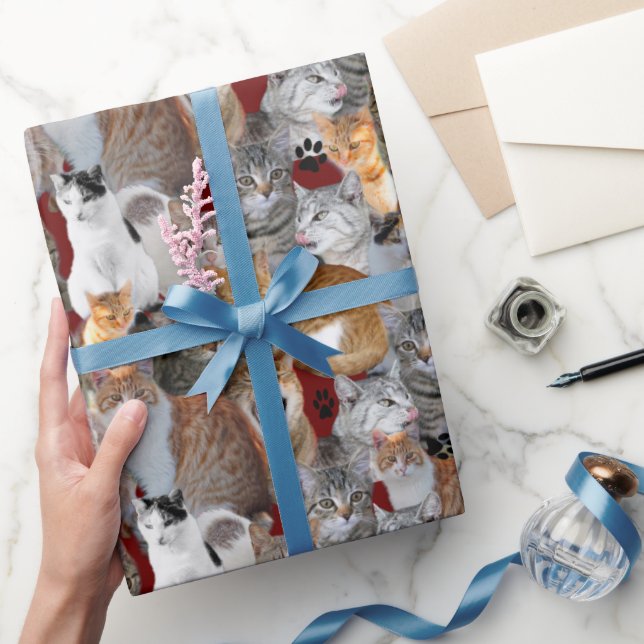 Cats meeting point wrapping paper (Gifting)