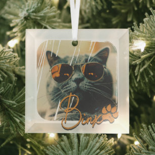 Cat's Modern Simple Cool Grunge Name and Photo Glass Tree Decoration