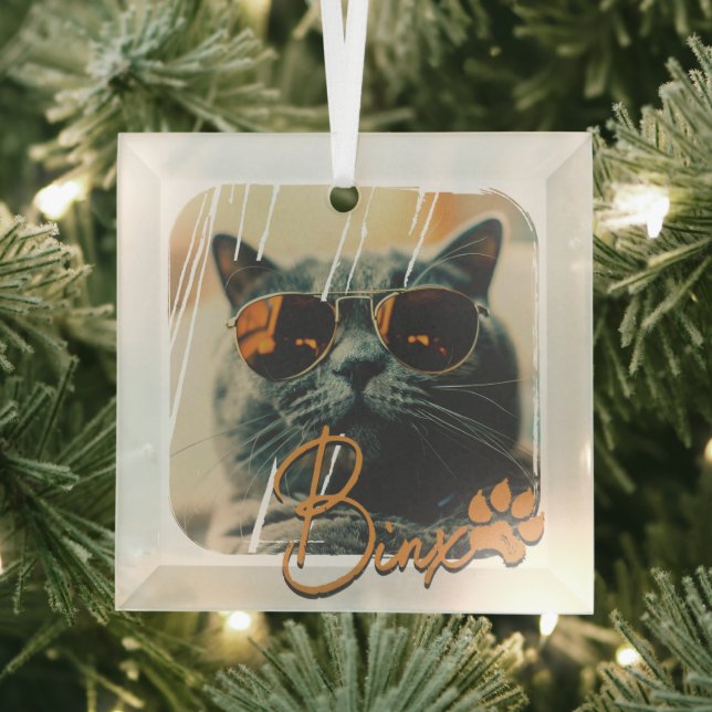 Cat's Modern Simple Cool Grunge Name and Photo Glass Tree Decoration (Insitu)