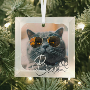 Cat's Modern Simple Cool Grunge Name and Photo Glass Tree Decoration