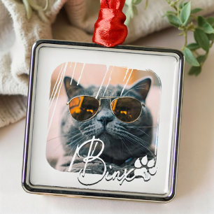 Cat's Modern Simple Cool Grunge Name and Photo Metal Ornament