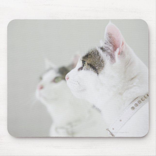 Cats Mouse Pad (Front)