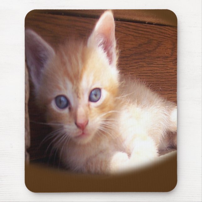 Cats Mouse Pad (Front)