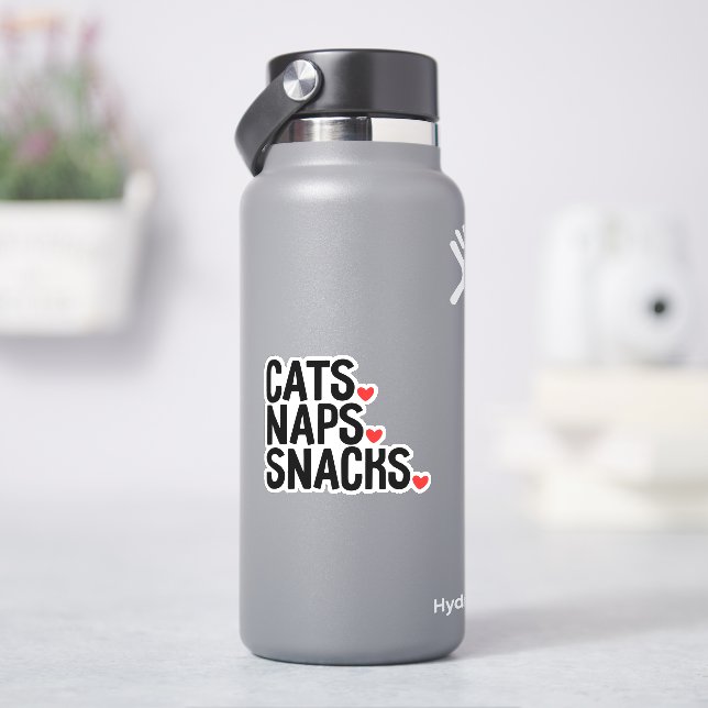 Cats Naps Snacks - Cat lovers  (HydroFlask)