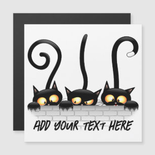 Cats Naughty, Playful and Funny Characters