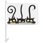 Cats Naughty, Playful and Funny Characters