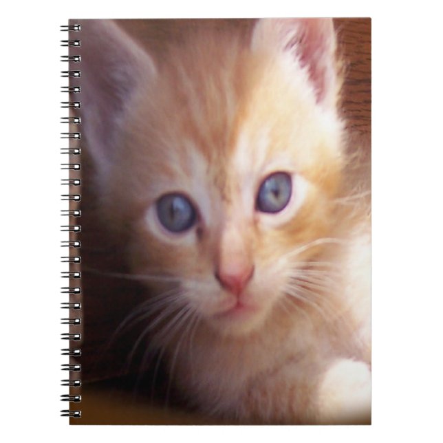 Cats Notebook (Front)