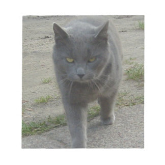 Cats Notepad