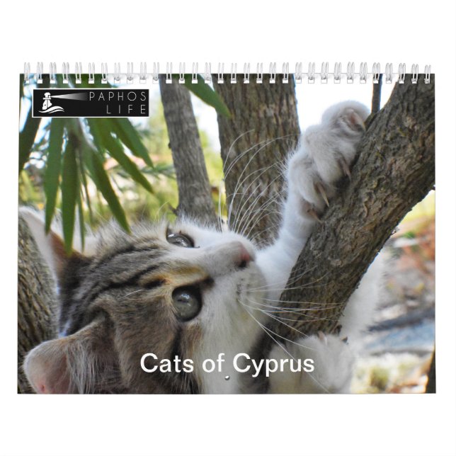 Cats of Cyprus by PaphosLife Calendar (Cover)