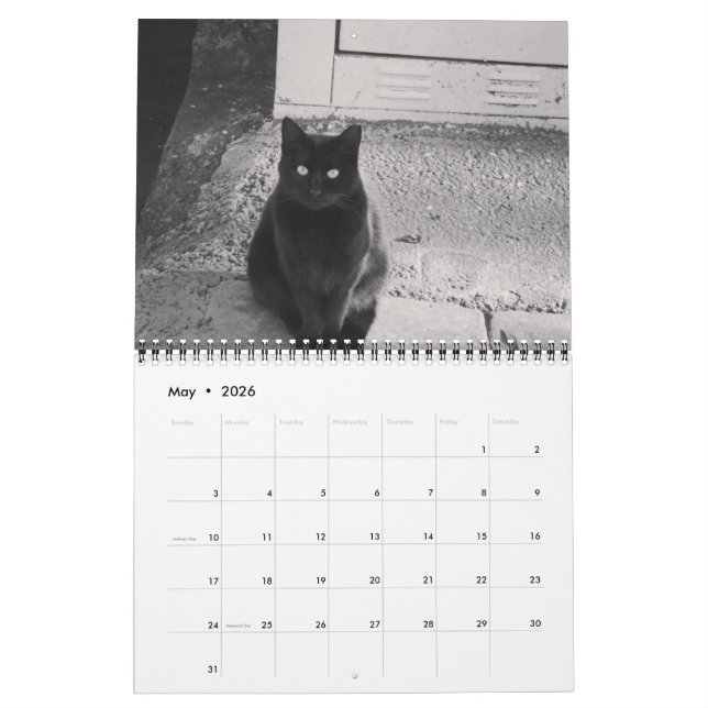 Cats of ISTANBUL Calendar (May 2026)