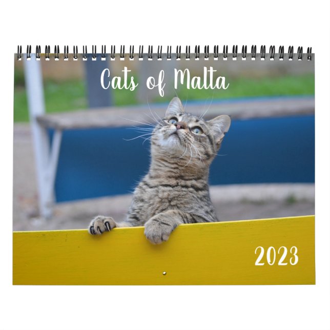 Cats of Malta - 2023 Calendar (Cover)
