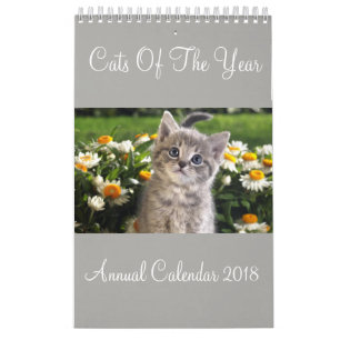 Cats Of The Year Annual Calendar 2018