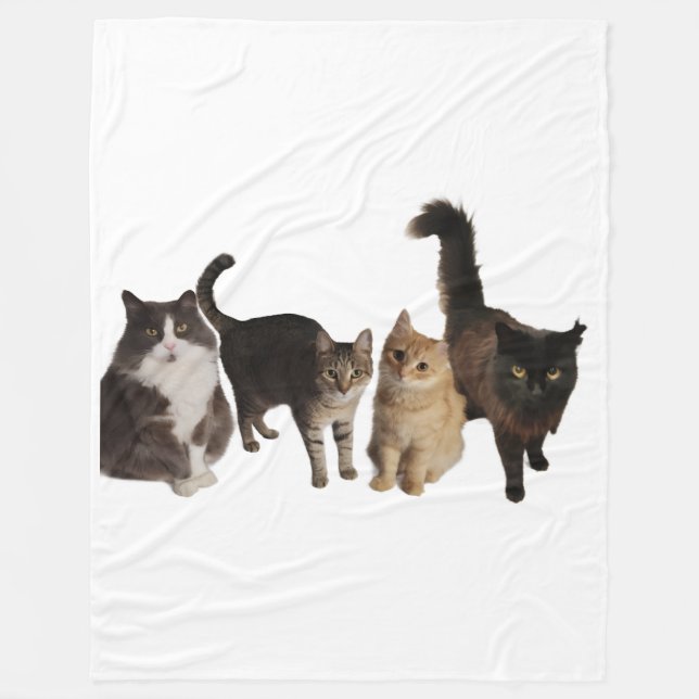 Cats on a blanket (Front)