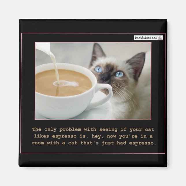 Cats On Espresso Magnet (Front)