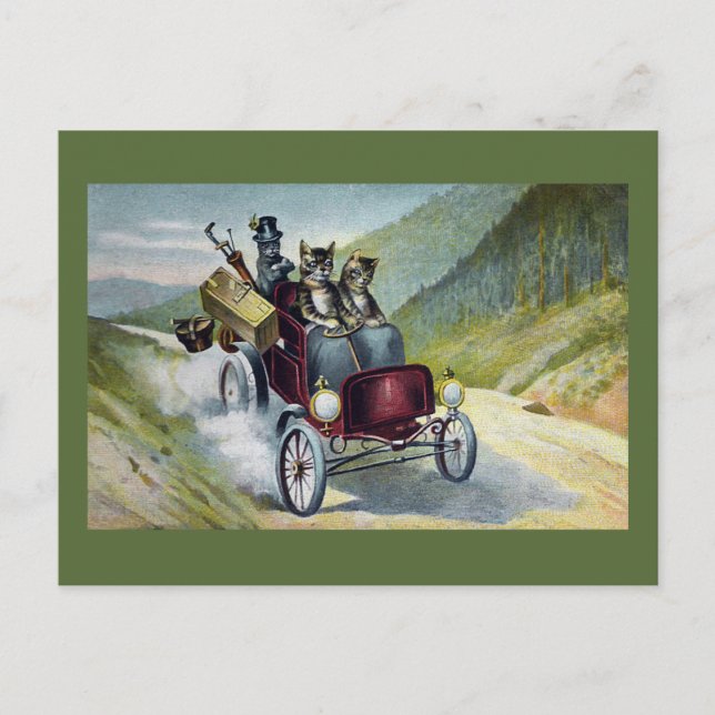 Cats on Vacation in the Catskills Postcard (Front)