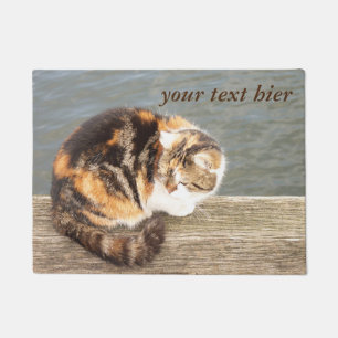 cats on water doormat