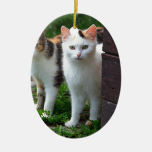 Cats out playing ceramic ornament