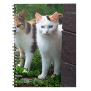 Cats out playing notebook