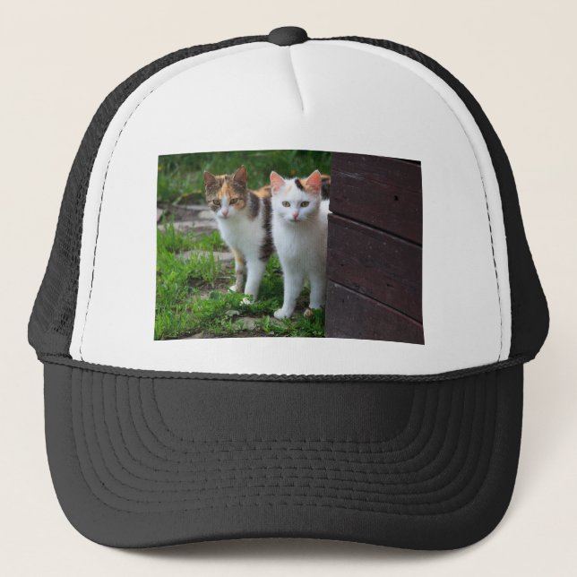 Cats out playing trucker hat (Front)