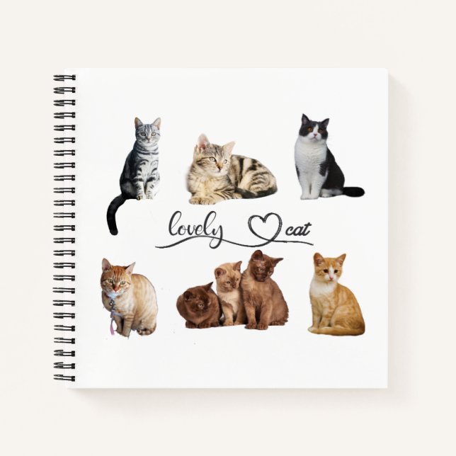 cats package, Funny cats package Notebook (Front)