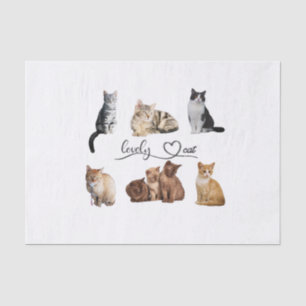 cats package, Funny cats package Tissue Paper