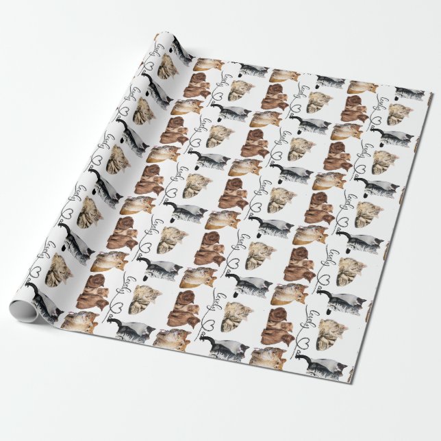 cats package, Funny cats package Wrapping Paper (Unrolled)