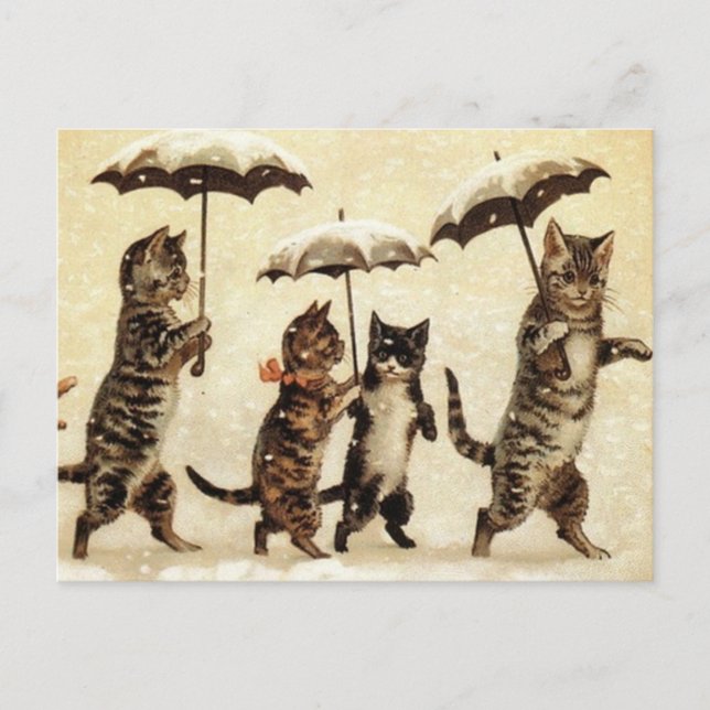 Cats parade postcard (Front)