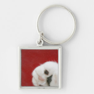 Cat's paw key ring