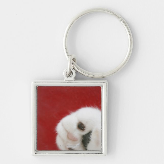Cat's paw key ring (Front)