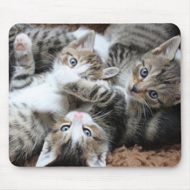 cats, pets, hangovers mouse pad (Front)