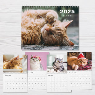 Cats Photo Collage Modern 2025 Calendar